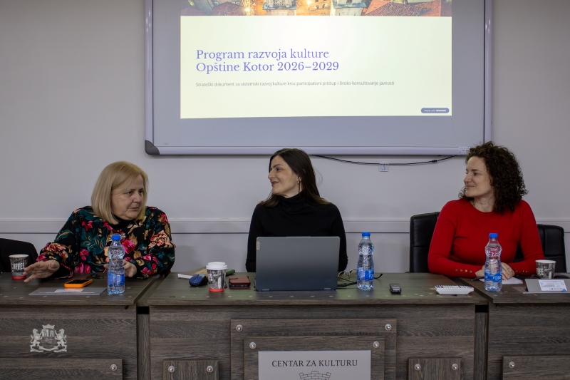 ODRŽANE KONSULTATIVNE RADIONICE O POZORIŠNOJ UMJETNOSTI, KNJIŽEVNOSTI, IZDAVAŠTVU I NEZAVISNOJ SCENI